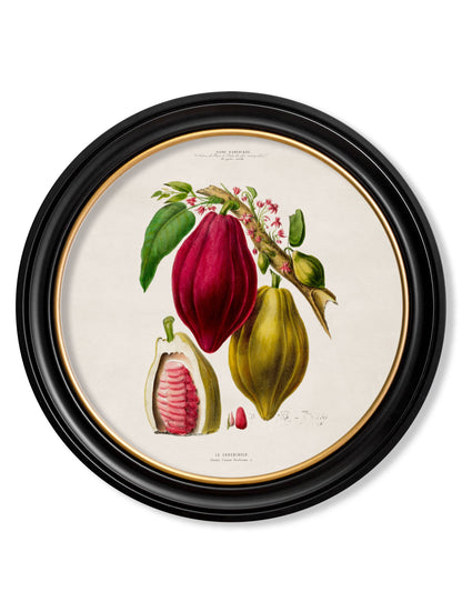 c.1843 Chocolate Plant – Round Frame detail – Leya Buster Interiors