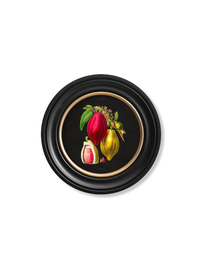 c.1843 Chocolate Plant – Round Frame – Black styled view – Leya Buster Interiors