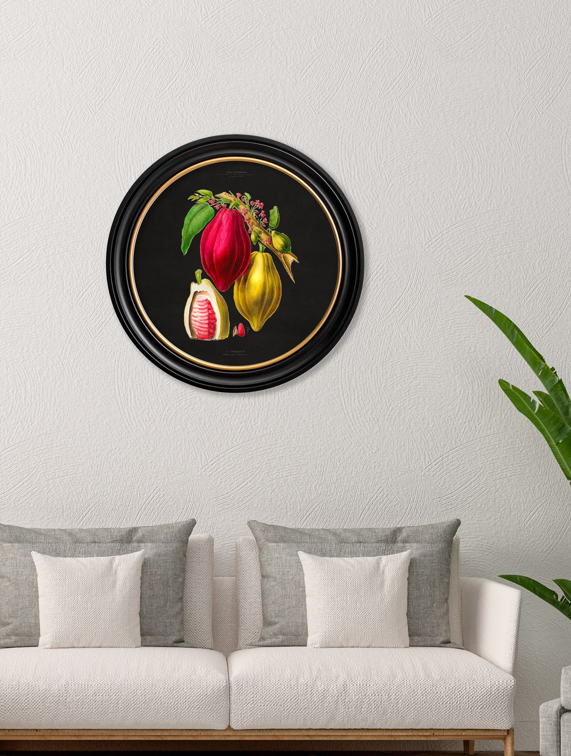 c.1843 Chocolate Plant – Round Frame – Black – framed wall art at Leya Buster Interiors
