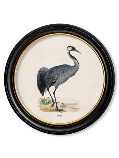 c.1870 Wading Birds in Round Frames styled view – Leya Buster Interiors
