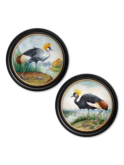 Audubon Style Cranes in Round Frames detail – Leya Buster Interiors