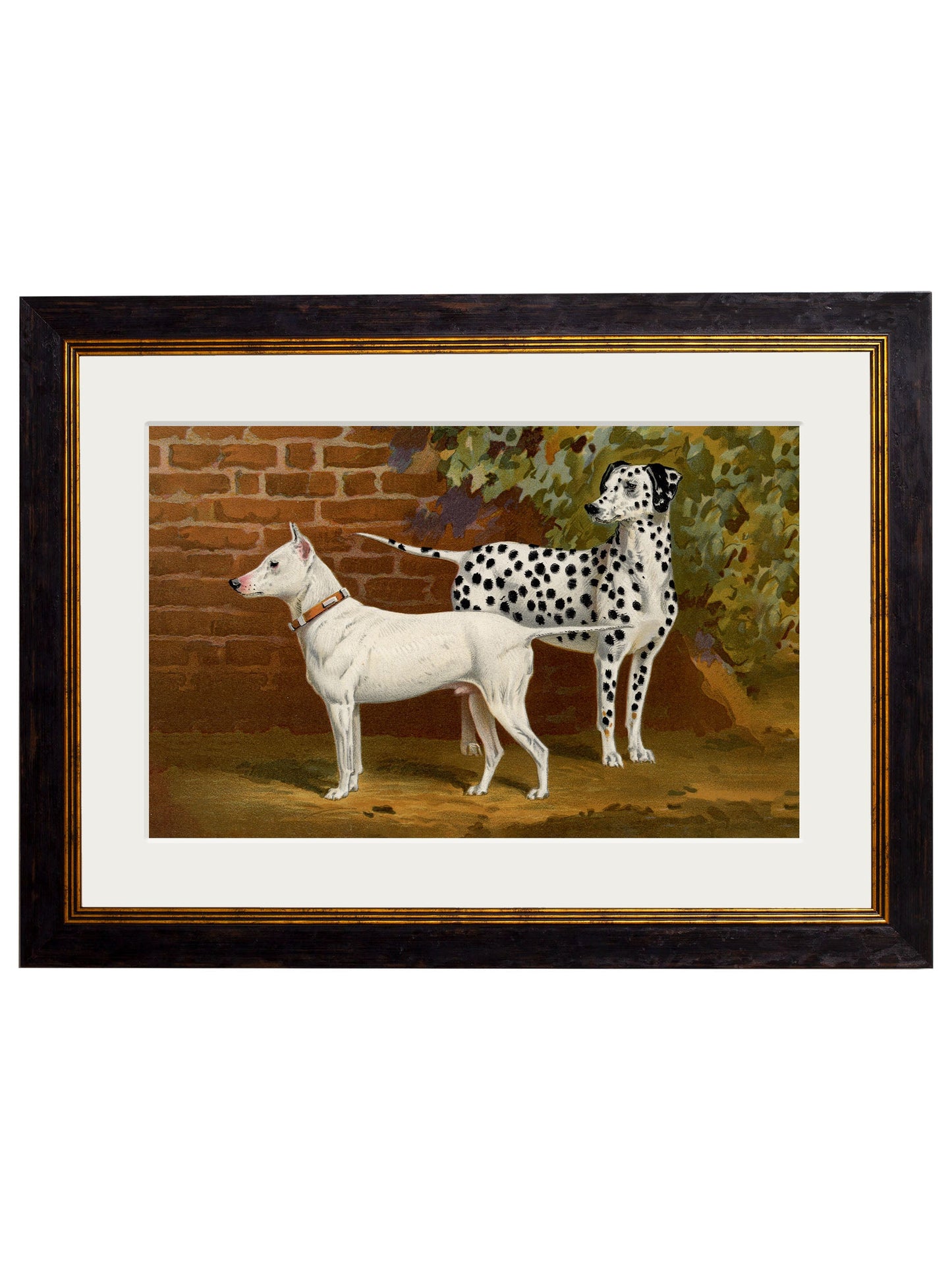 c.1881 Dogs styled view – Leya Buster Interiors