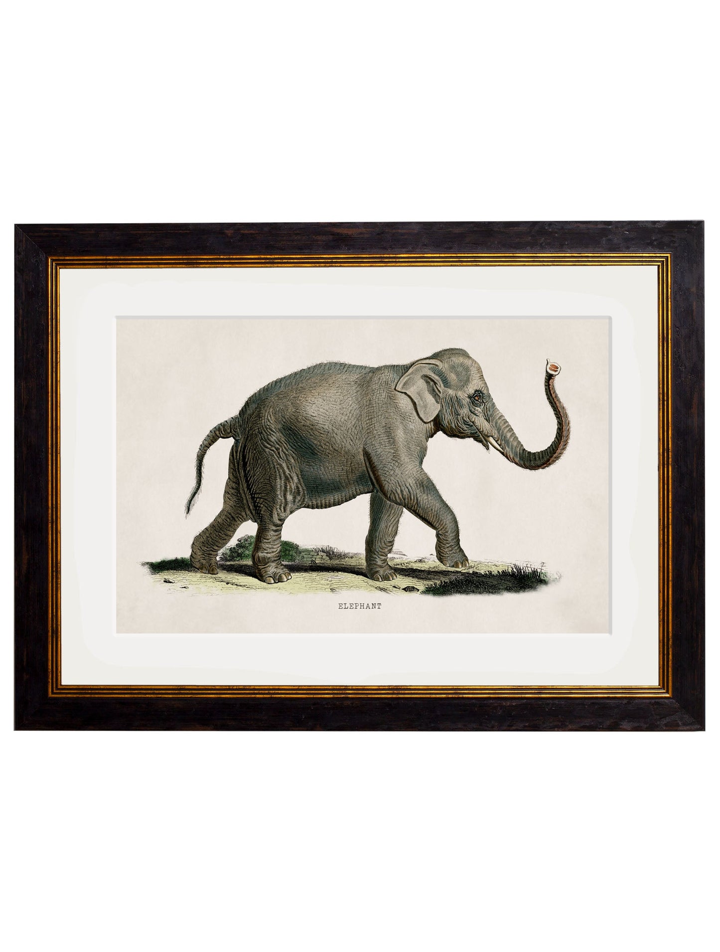 c.1846 Elephants styled view – Leya Buster Interiors