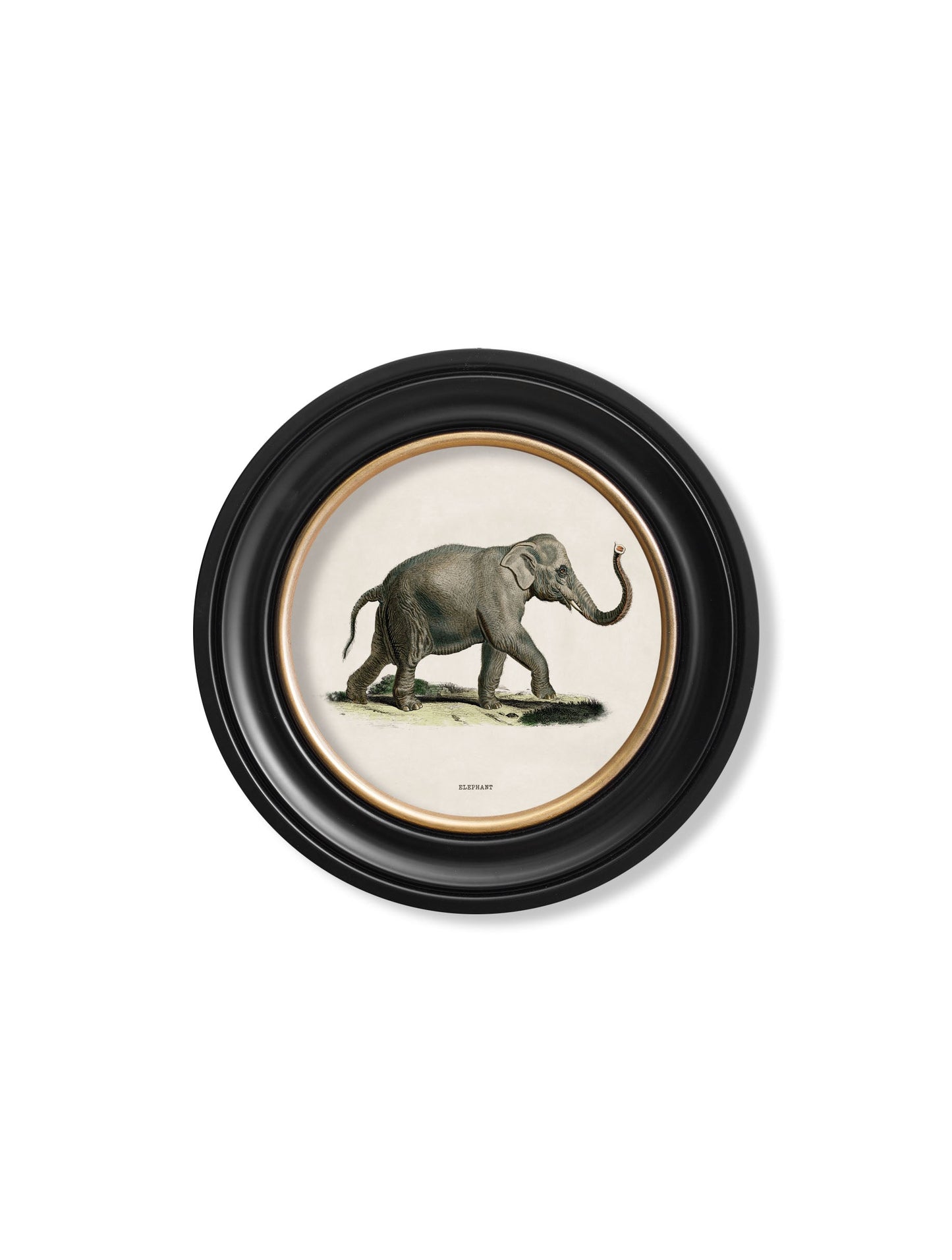 c.1846 Elephants in Round Frame styled view – Leya Buster Interiors