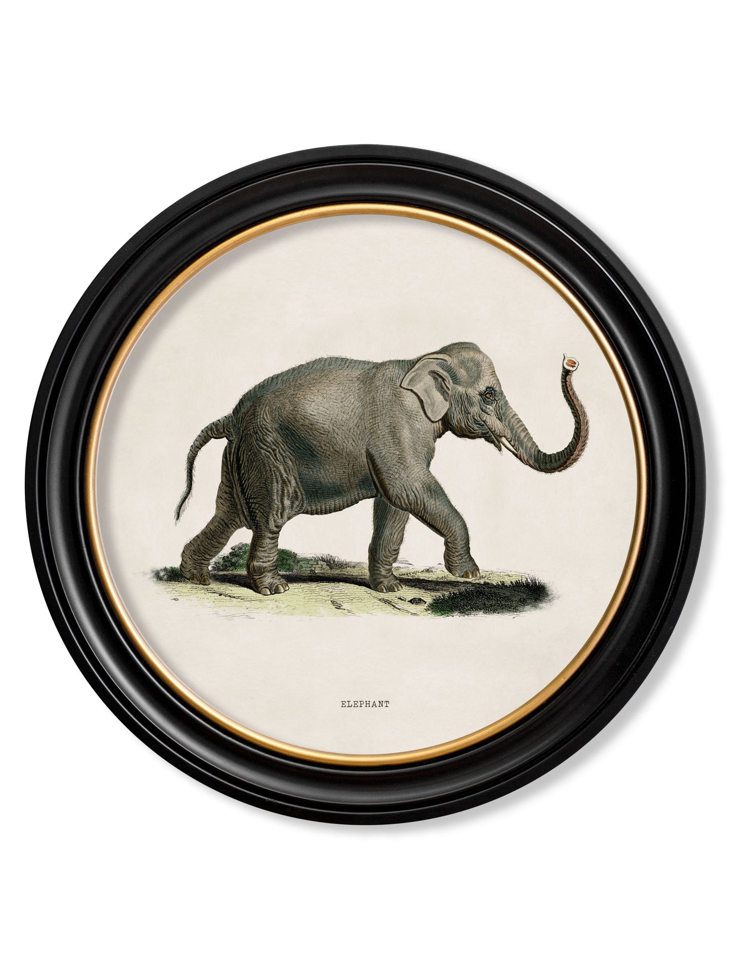 c.1846 Elephants in Round Frame styled view – Leya Buster Interiors
