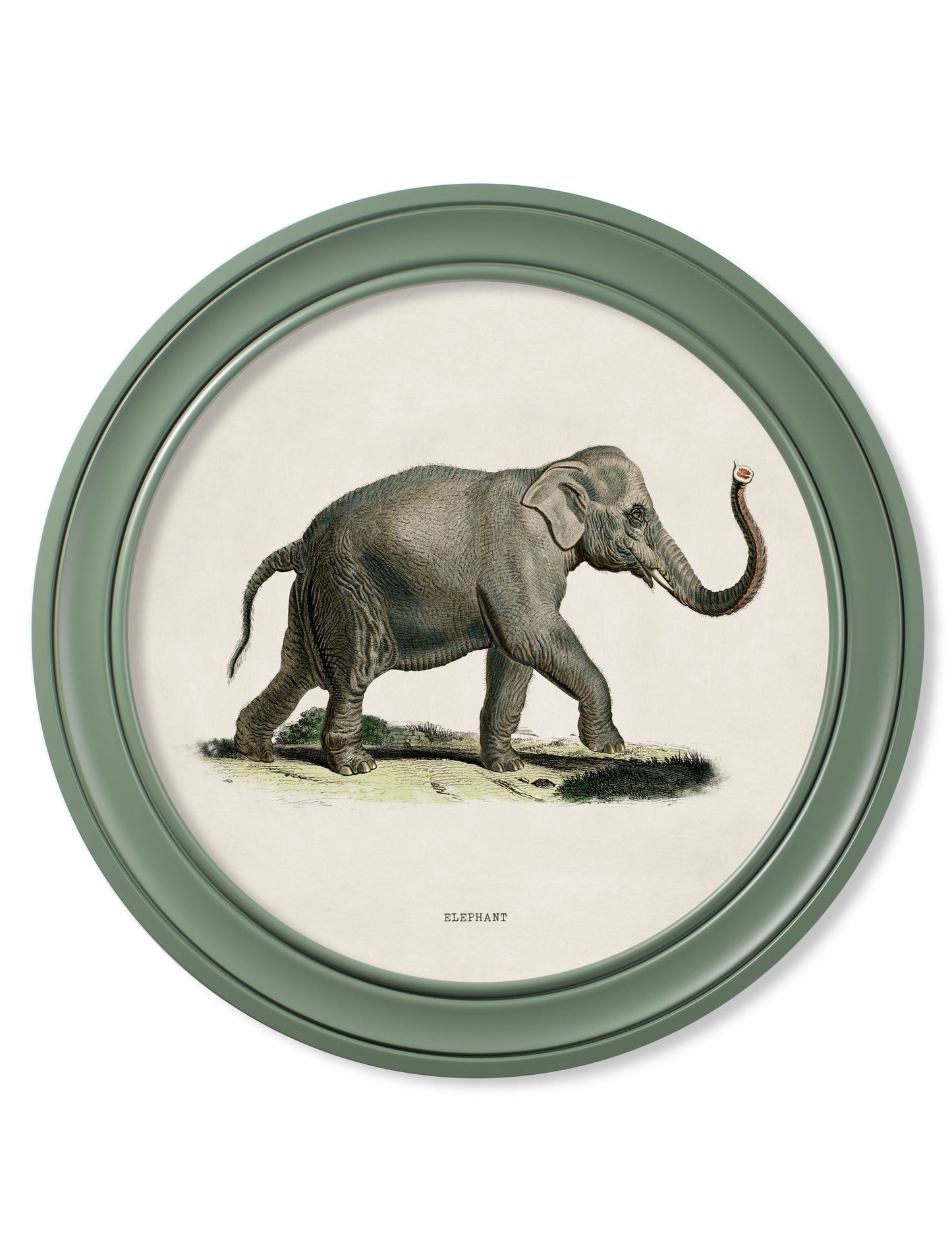 c.1846 Elephants in Round Frame Green styled view – Leya Buster Interiors