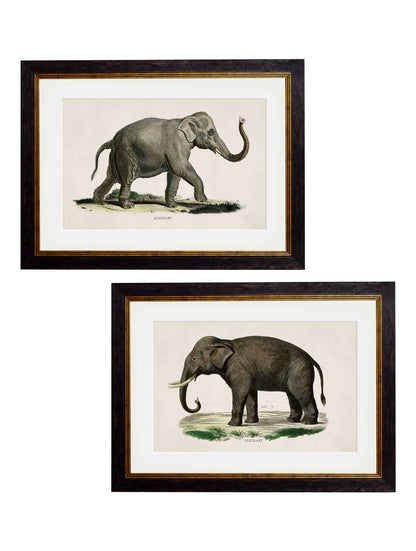 c.1846 Elephants detail – Leya Buster Interiors