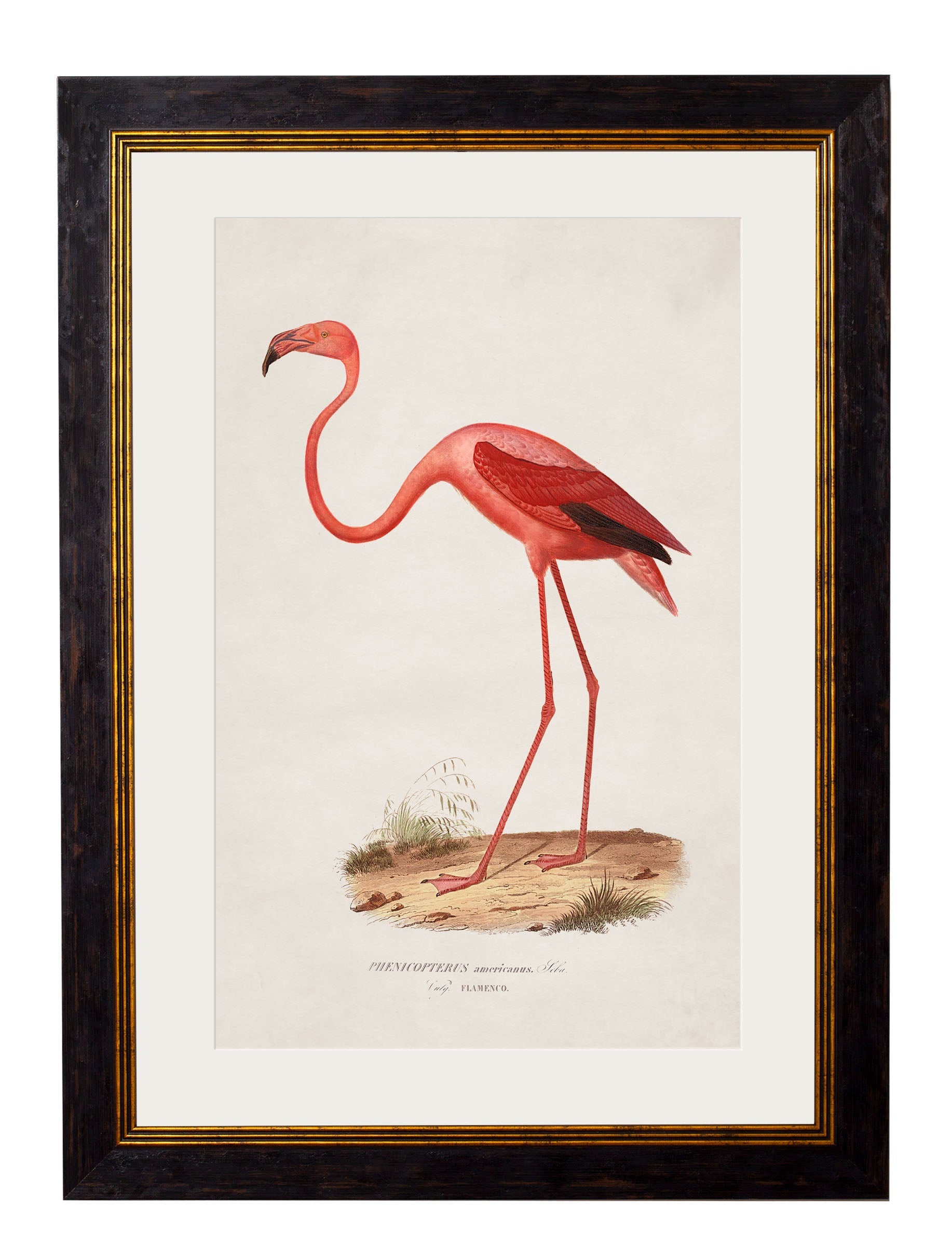 c.1830 Flamingo detail – Leya Buster Interiors