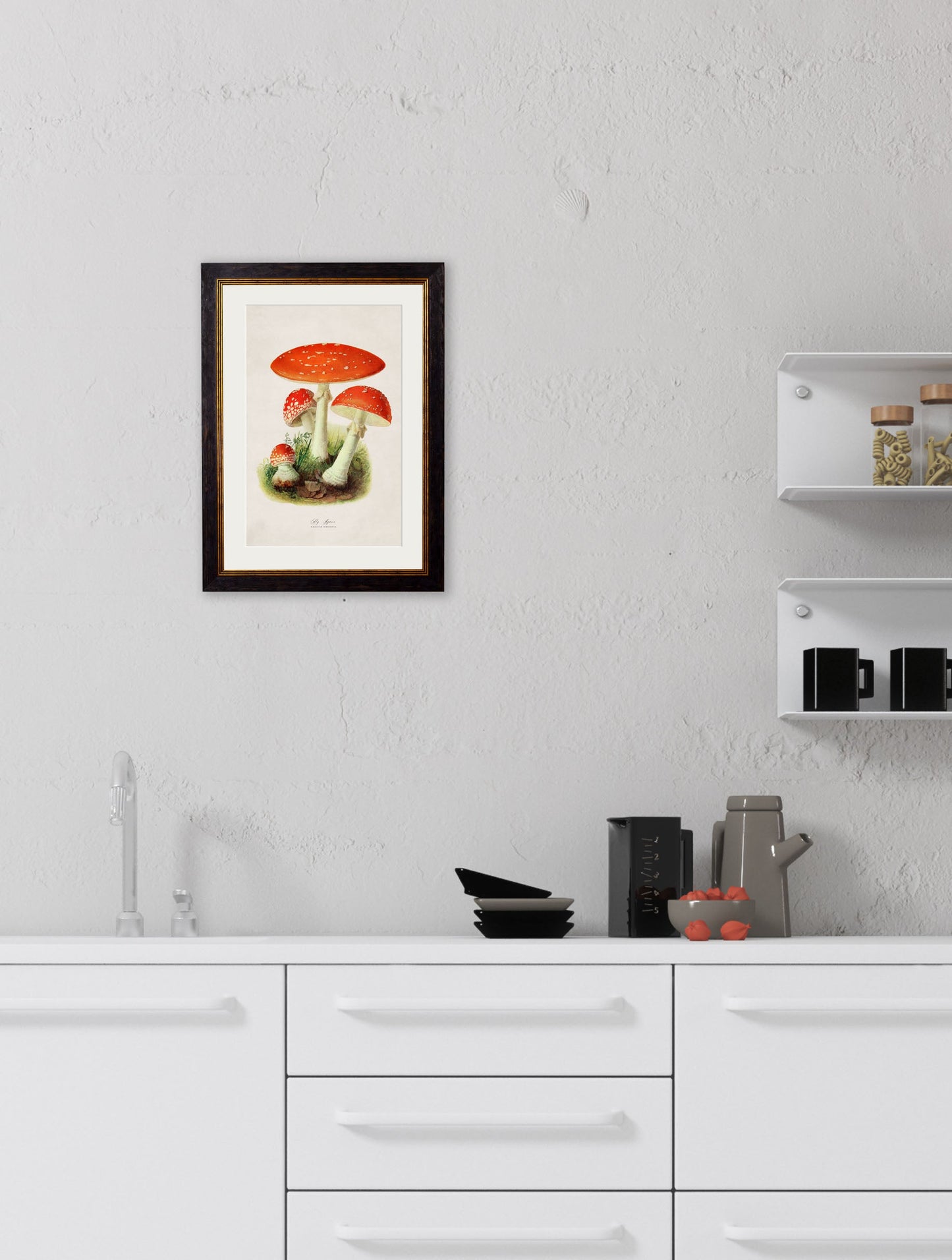 c.1913 Fly Agaric – framed wall art at Leya Buster Interiors
