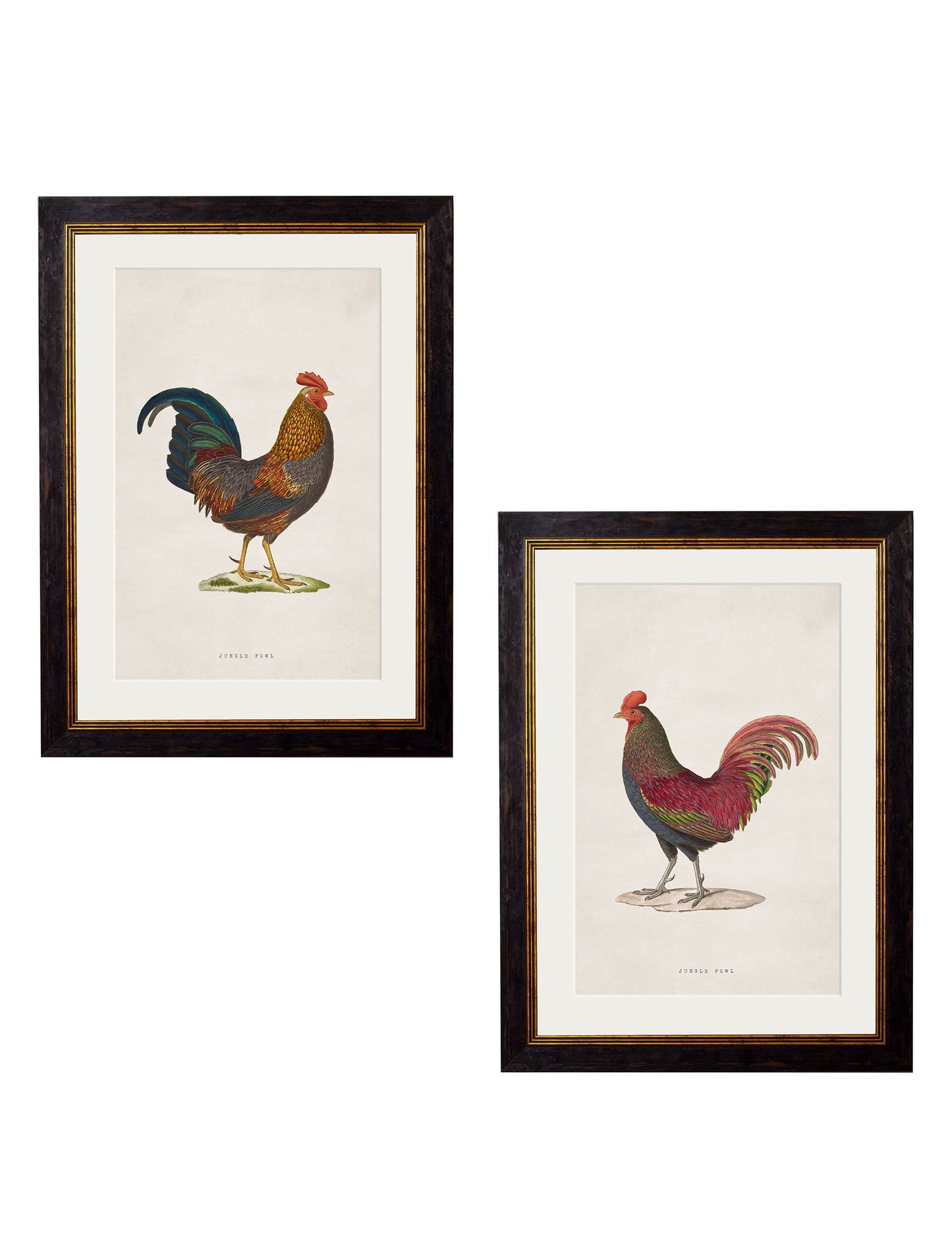 c.1838 Junglefowl detail – Leya Buster Interiors