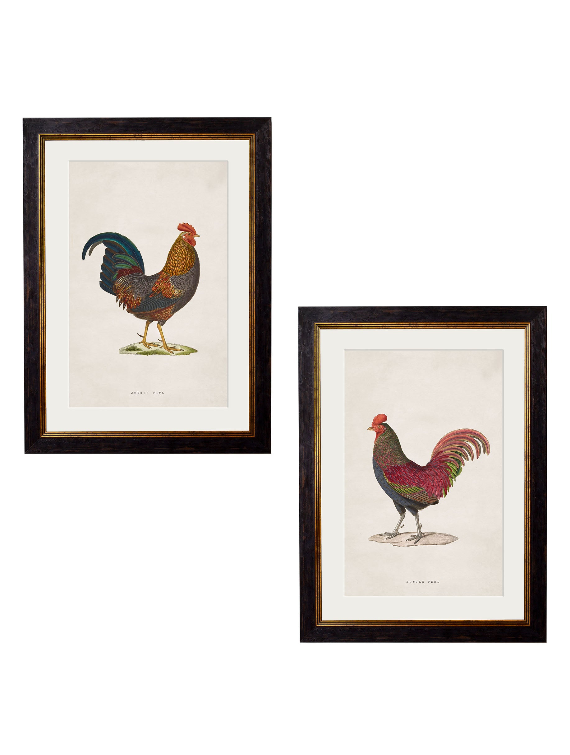 c.1838 Junglefowl detail – Leya Buster Interiors