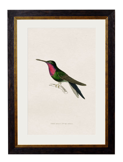 c.1833 Hummingbirds styled view – Leya Buster Interiors