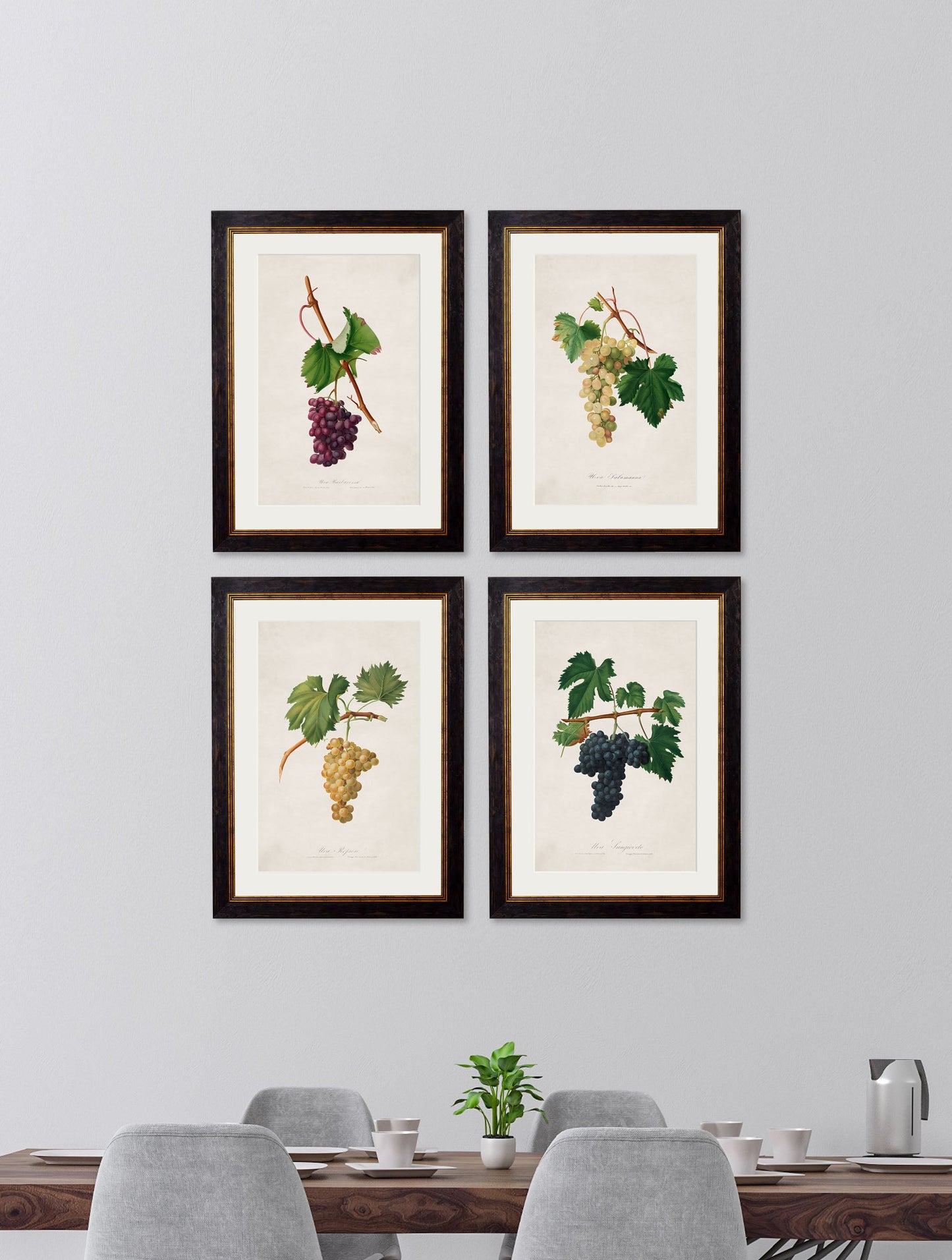 c.1817 Collection of Botanical Grapes – framed wall art at Leya Buster Interiors
