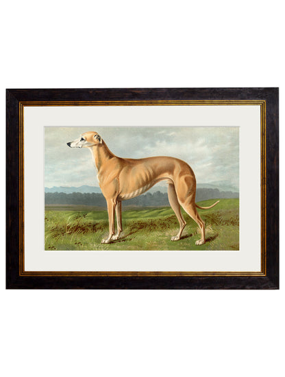 c.1881 Working Dogs styled view – Leya Buster Interiors