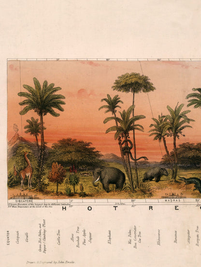 c.1852 View of Nature in all Climates – From the Equator to the Arctic Circle styled view – Leya Buster Interiors