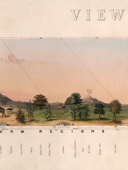 c.1852 View of Nature in all Climates – From the Equator to the Arctic Circle styled view – Leya Buster Interiors