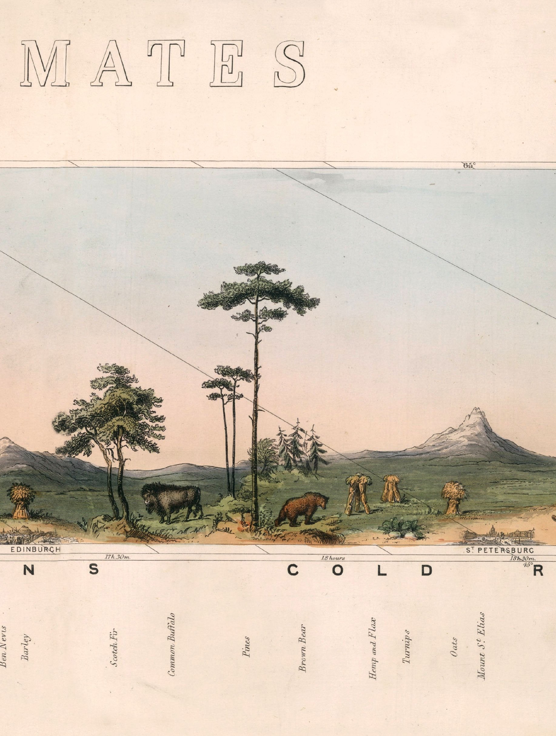 c.1852 View of Nature in all Climates – From the Equator to the Arctic Circle styled view – Leya Buster Interiors