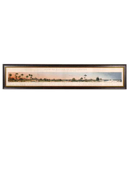 c.1852 View of Nature in all Climates – From the Equator to the Arctic Circle detail – Leya Buster Interiors