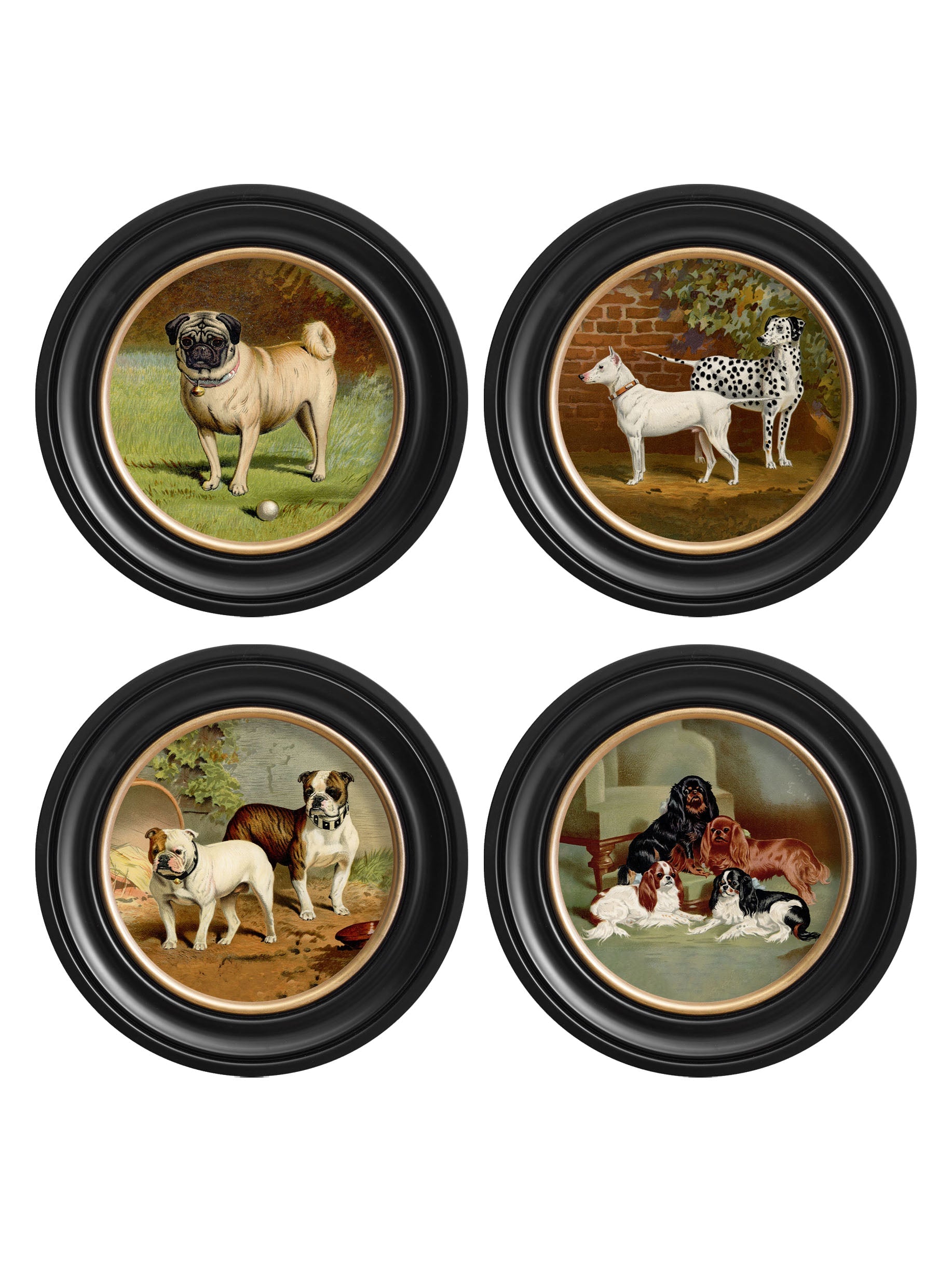 c.1881 Dogs – Round Frame styled view – Leya Buster Interiors