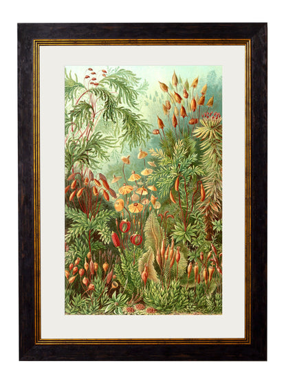 c.1904 Haeckel Flora styled view – Leya Buster Interiors