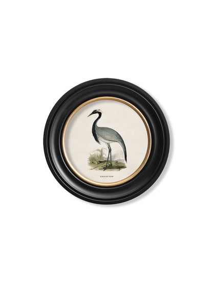 c.1870 Wading Birds in Round Frames styled view – Leya Buster Interiors