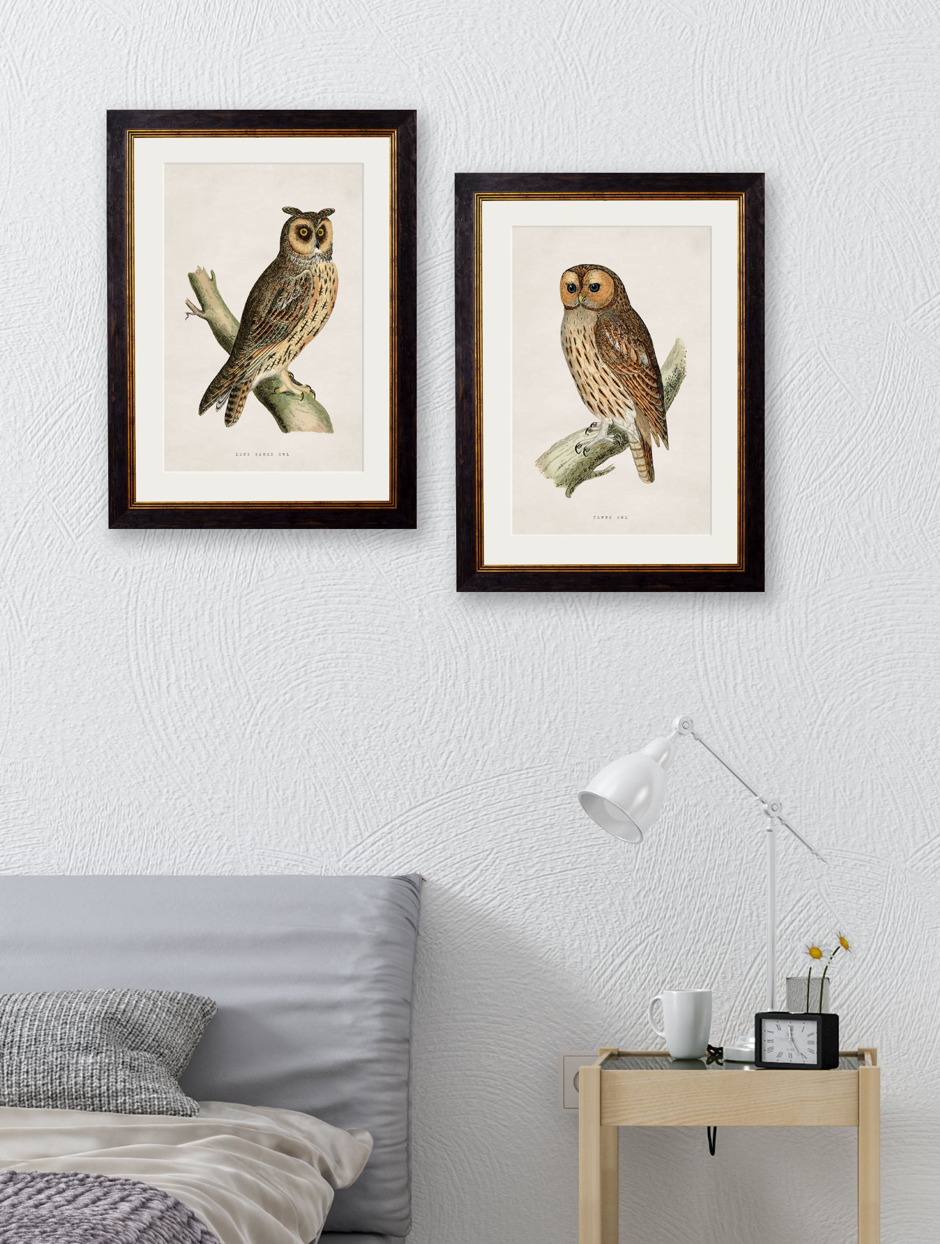 c.1870 British Owls – framed wall art at Leya Buster Interiors
