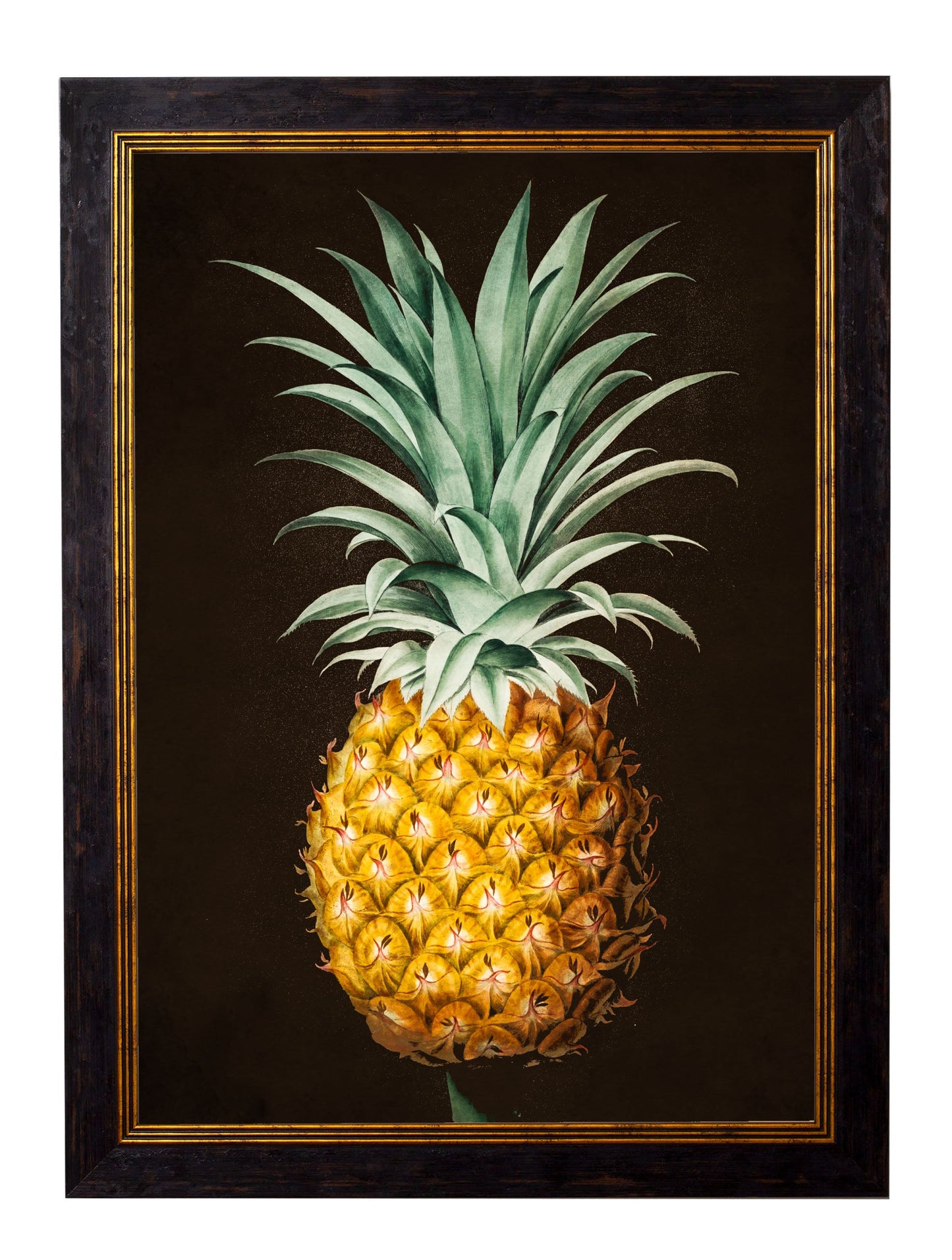c.1812 Pineapple Study (Black) styled view – Leya Buster Interiors