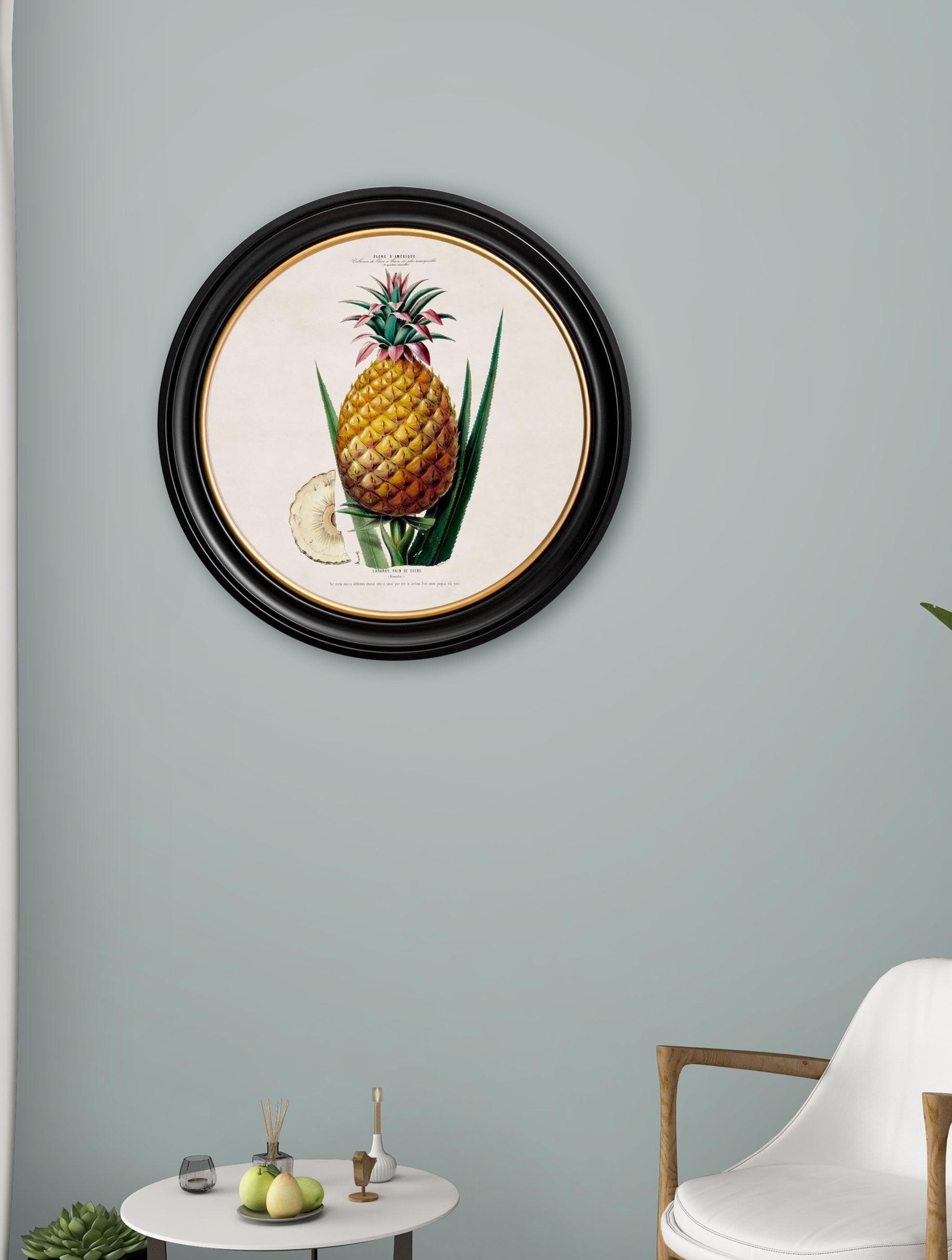c.1843 Pineapple Plant – Round Frame – framed wall art at Leya Buster Interiors
