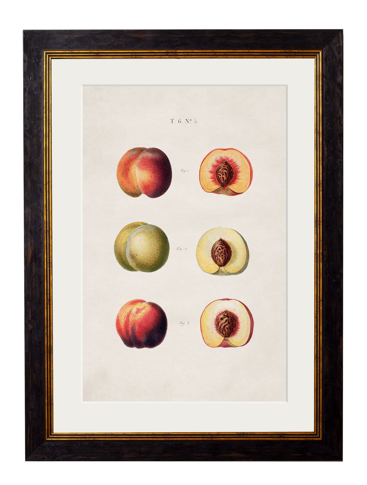 c.1819 Study of British Fruit styled view – Leya Buster Interiors