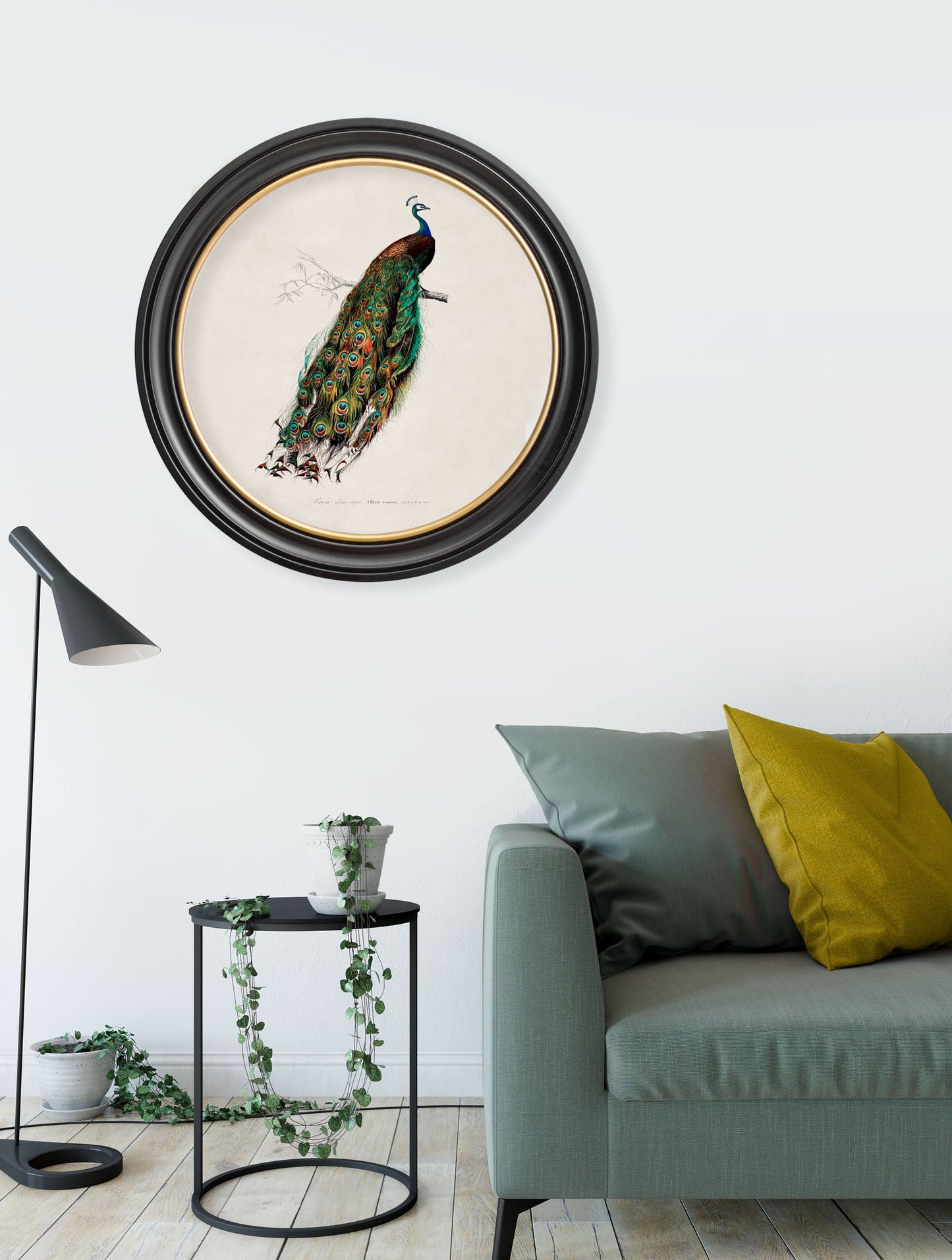 c.1847 Peacock in Round Frame styled view – Leya Buster Interiors