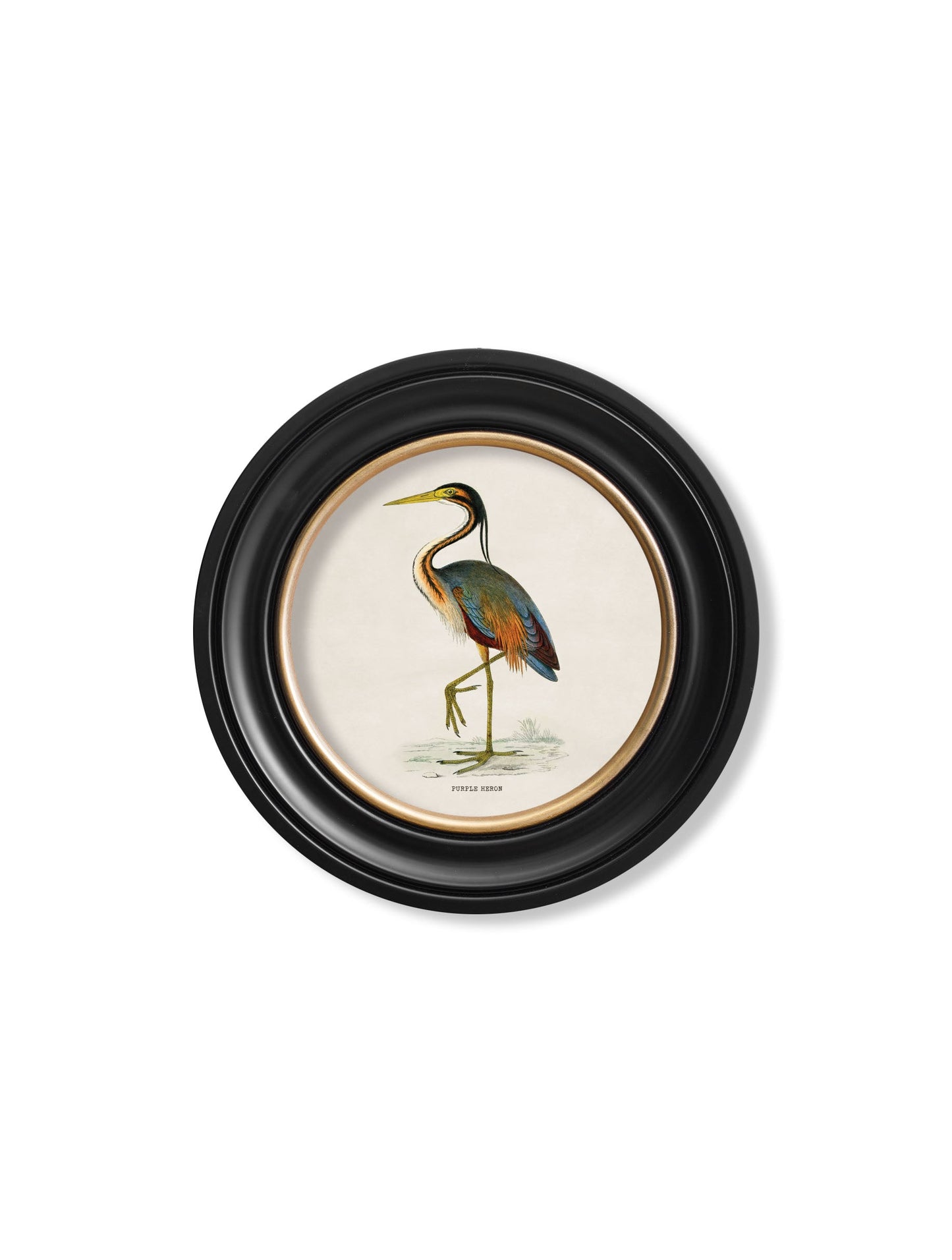 c.1870 Wading Birds in Round Frames styled view – Leya Buster Interiors