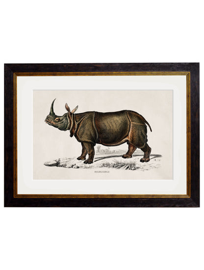 c.1846 Rhino & Hippo styled view – Leya Buster Interiors