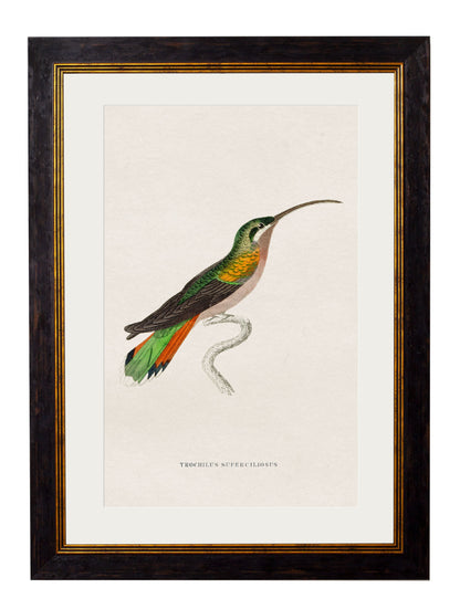 c.1833 Hummingbirds styled view – Leya Buster Interiors