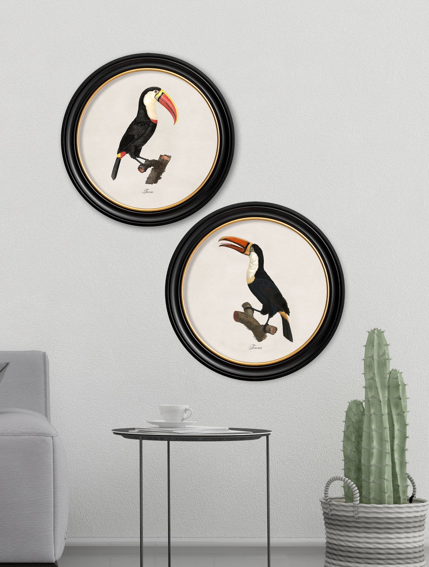 c.1809 Toucans – Round Frame – framed wall art at Leya Buster Interiors