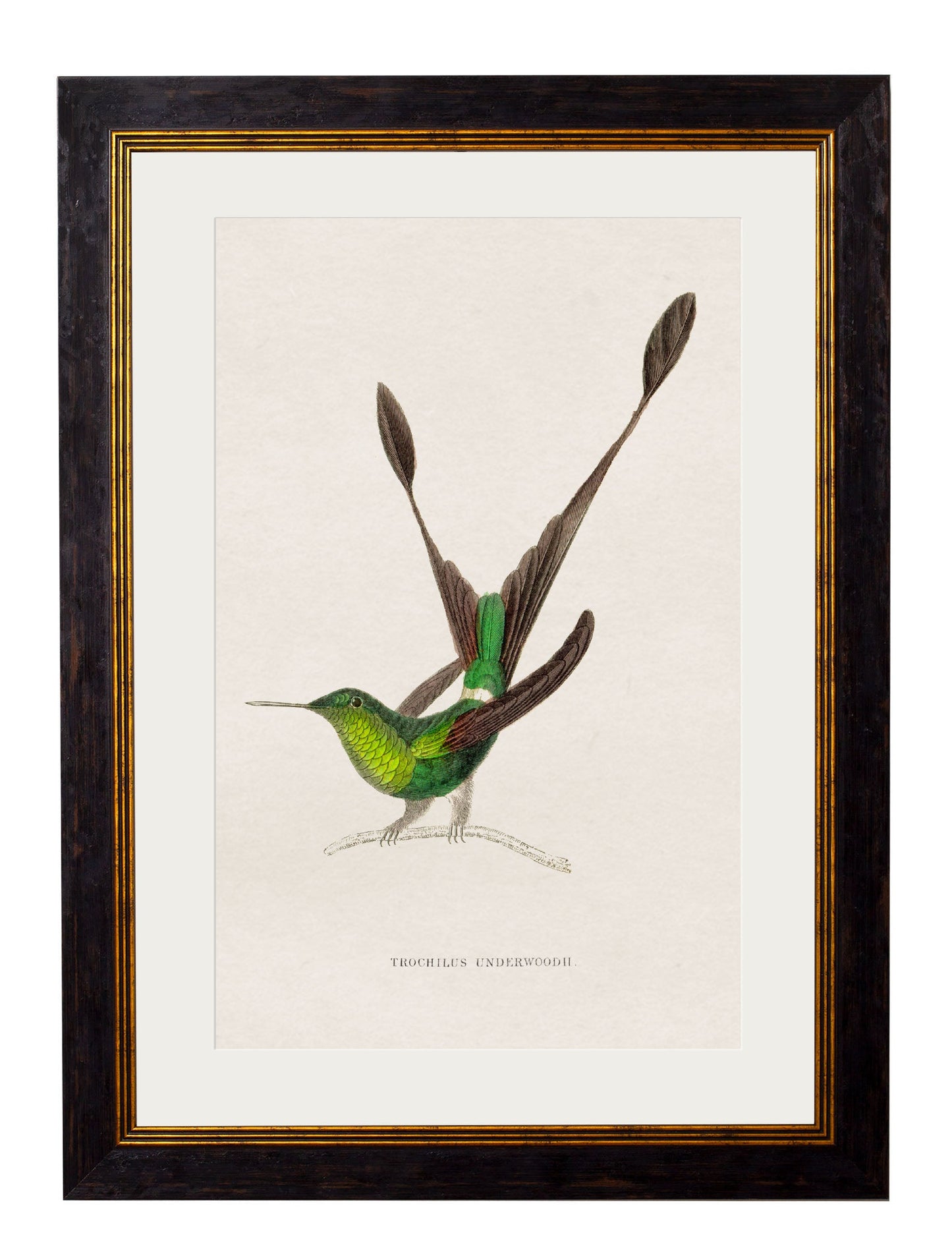 c.1833 Hummingbirds styled view – Leya Buster Interiors