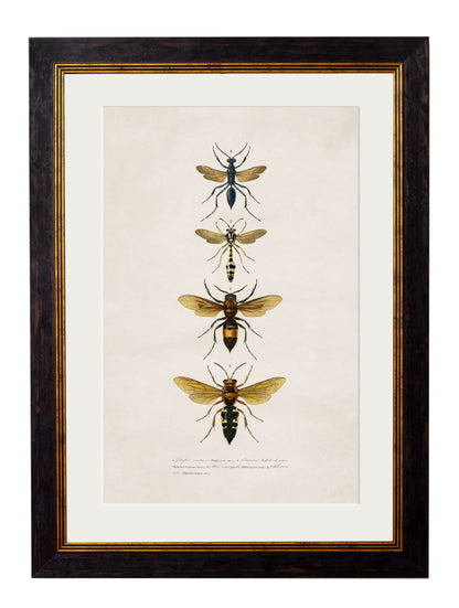 c.1892 Bees and Wasps styled view – Leya Buster Interiors