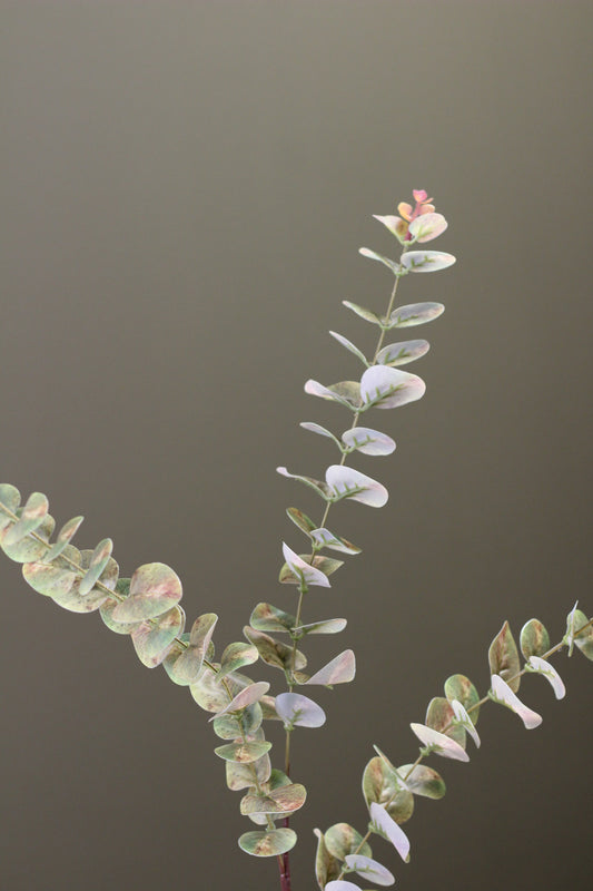 Weathered Sage Eucalyptus Stem faux foliage in a soft muted sage green tone