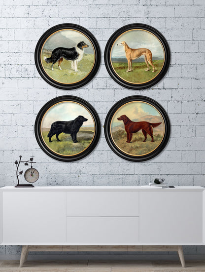 c.1881 Working Dogs – Round Frame – framed wall art at Leya Buster Interiors