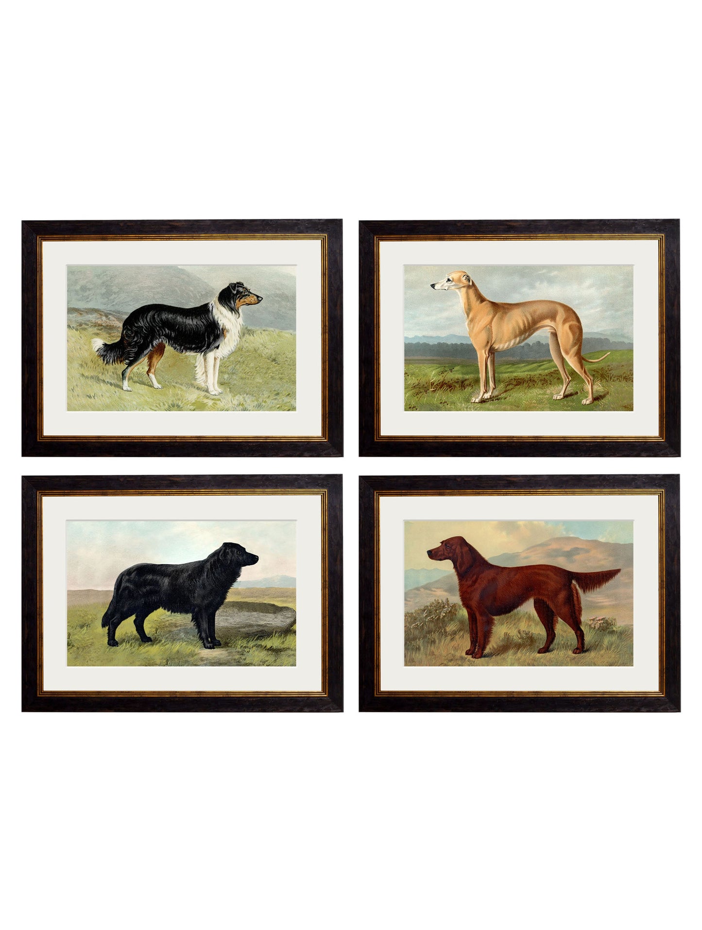 c.1881 Working Dogs detail – Leya Buster Interiors