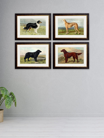c.1881 Working Dogs – framed wall art at Leya Buster Interiors